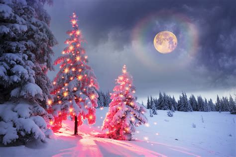 Magical lights of winter